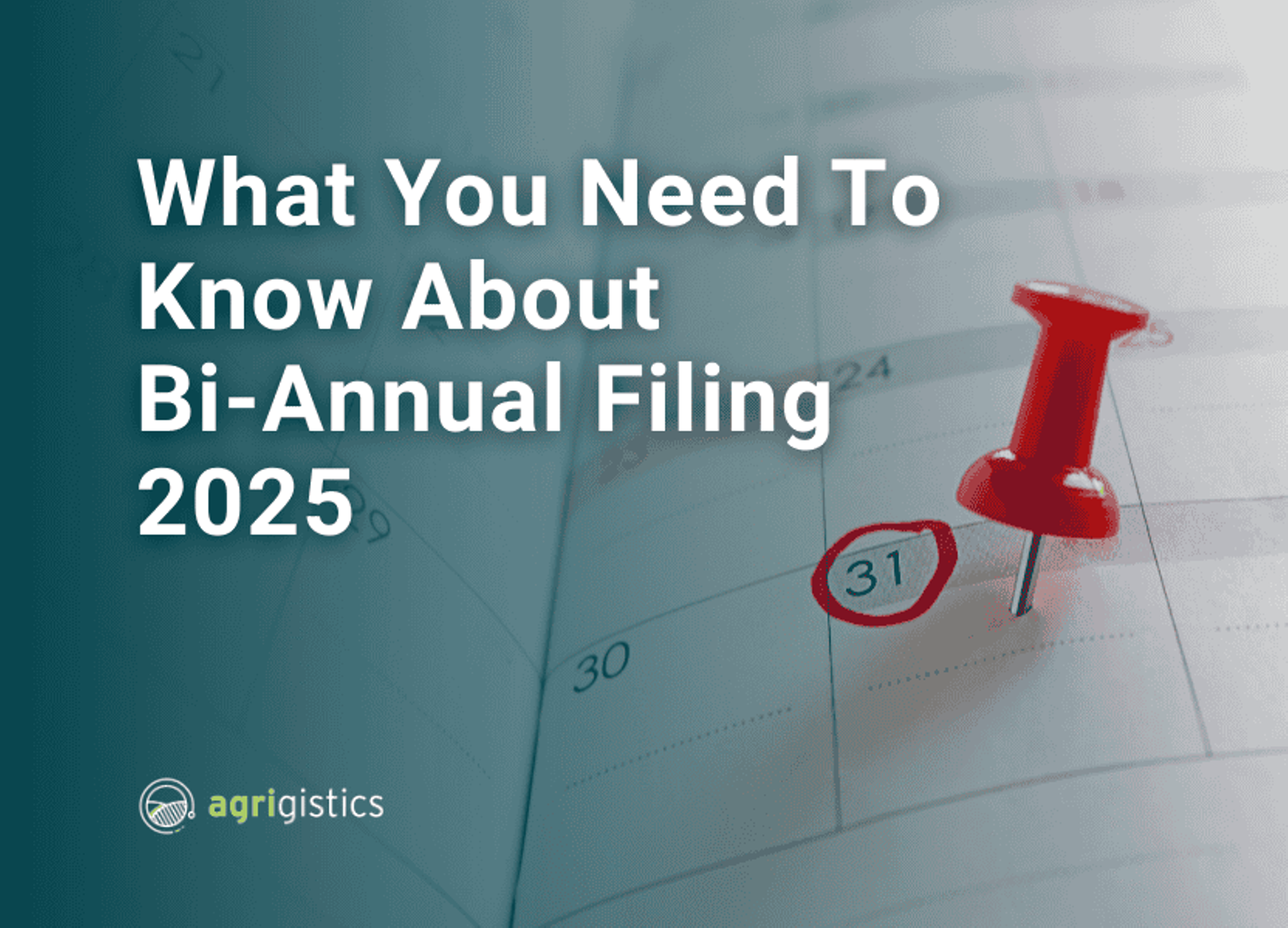 bi-annual filing guide 2025