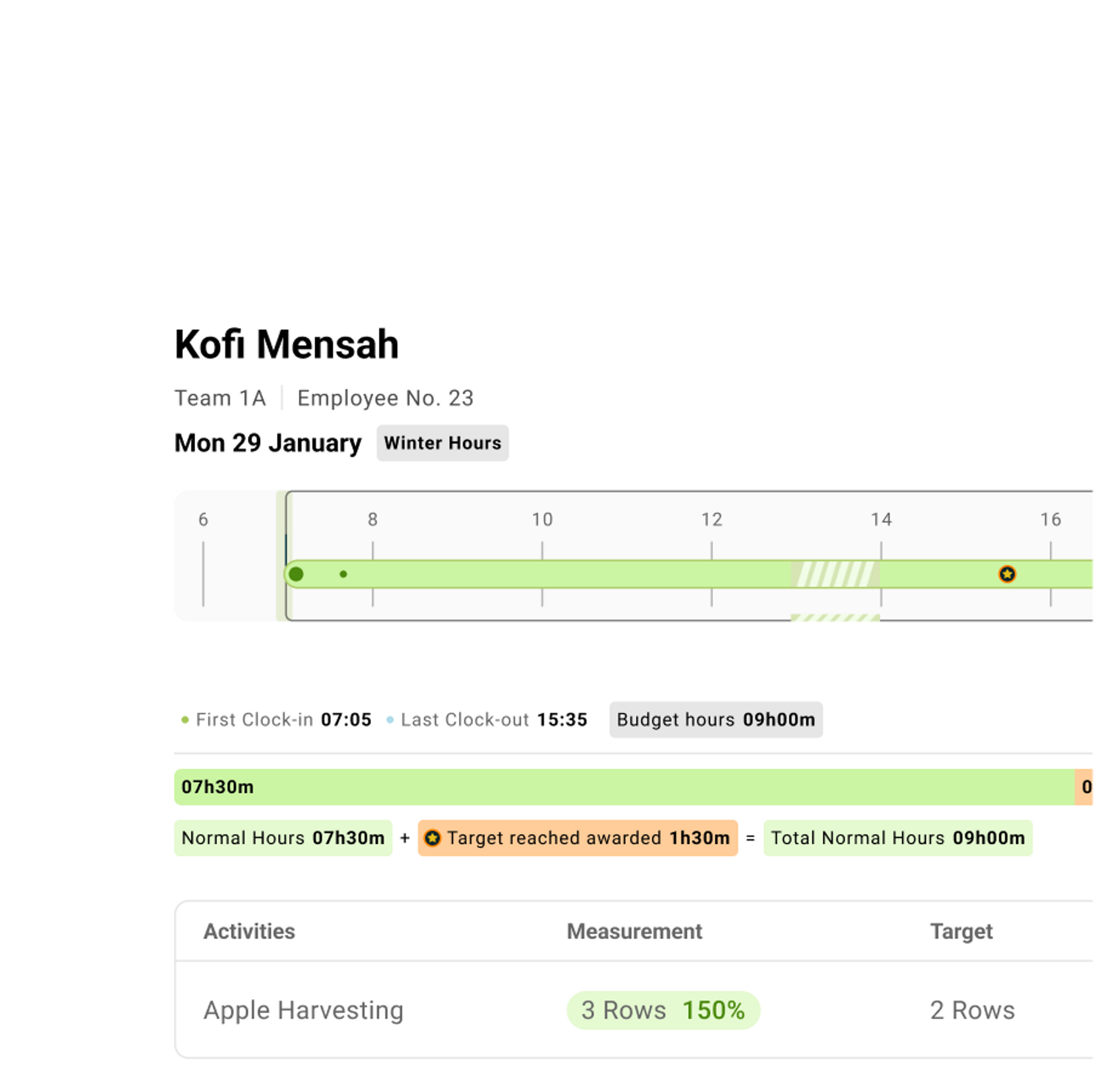 Screenshot of Employee Timeline Working Hours